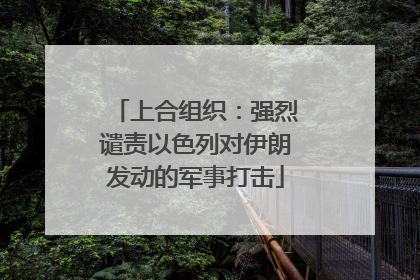上合组织：强烈谴责以色列对伊朗发动的军事打击