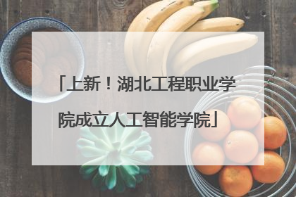上新！湖北工程职业学院成立人工智能学院