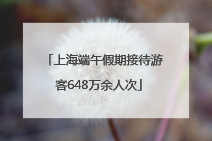 上海端午假期接待游客648万余人次