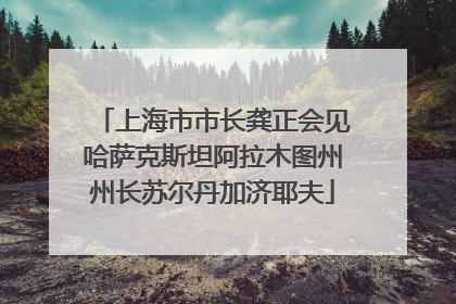 上海市市长龚正会见哈萨克斯坦阿拉木图州州长苏尔丹加济耶夫