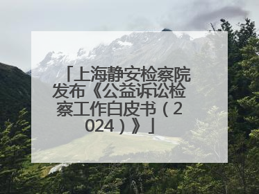 上海静安检察院发布《公益诉讼检察工作白皮书（2024）》