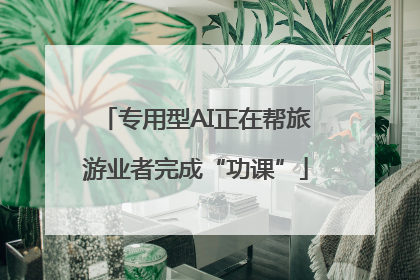 专用型AI正在帮旅游业者完成“功课”