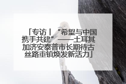 专访丨“希望与中国携手共建”——土耳其加济安泰普市长期待古丝路重镇焕发新活力