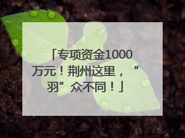 专项资金1000万元！荆州这里，“羽”众不同！