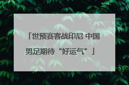 世预赛客战印尼 中国男足期待“好运气”