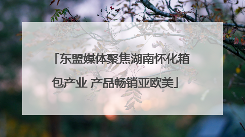 东盟媒体聚焦湖南怀化箱包产业 产品畅销亚欧美