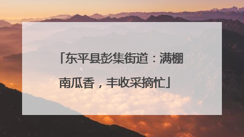 东平县彭集街道：满棚南瓜香，丰收采摘忙