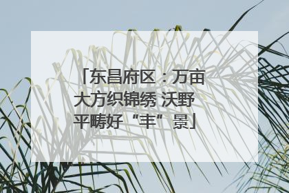 东昌府区：万亩大方织锦绣 沃野平畴好“丰”景