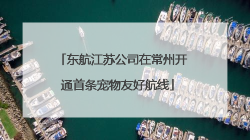 东航江苏公司在常州开通首条宠物友好航线