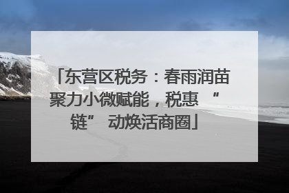 东营区税务：春雨润苗聚力小微赋能，税惠 “链” 动焕活商圈