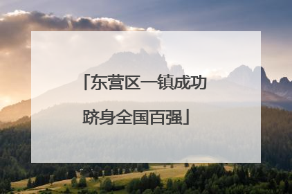 东营区一镇成功跻身全国百强