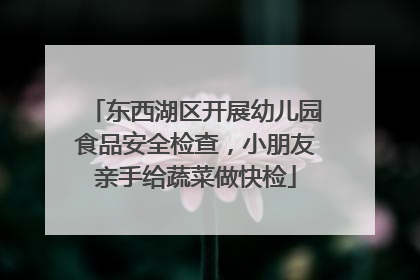 东西湖区开展幼儿园食品安全检查，小朋友亲手给蔬菜做快检