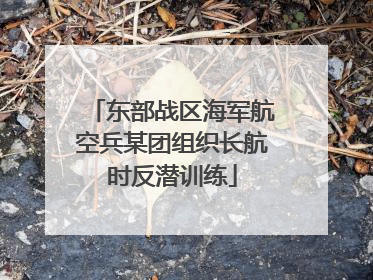 东部战区海军航空兵某团组织长航时反潜训练