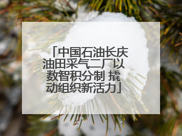 中国石油长庆油田采气二厂以数智积分制 撬动组织新活力