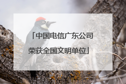 中国电信广东公司荣获全国文明单位