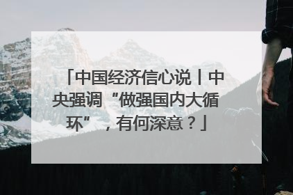 中国经济信心说丨中央强调“做强国内大循环”，有何深意？