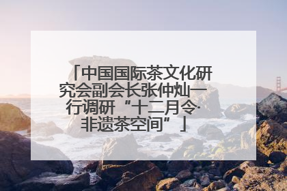 中国国际茶文化研究会副会长张仲灿一行调研“十二月令·非遗茶空间”