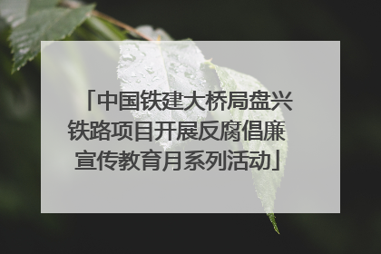 中国铁建大桥局盘兴铁路项目开展反腐倡廉宣传教育月系列活动