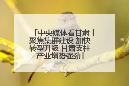 中央媒体看甘肃丨聚焦集群建设 加快转型升级 甘肃支柱产业增势强劲