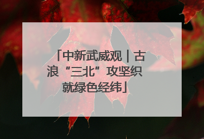 中新武威观｜古浪“三北”攻坚织就绿色经纬