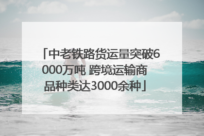 中老铁路货运量突破6000万吨 跨境运输商品种类达3000余种