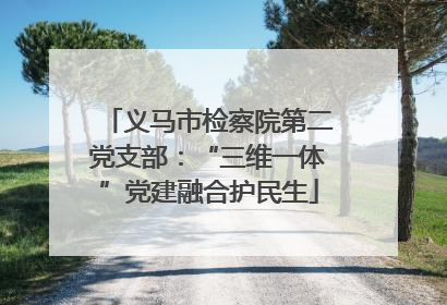 义马市检察院第二党支部：“三维一体”党建融合护民生