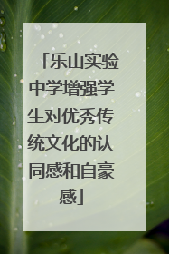 乐山实验中学增强学生对优秀传统文化的认同感和自豪感