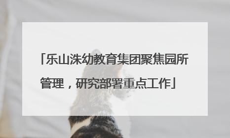 乐山洙幼教育集团聚焦园所管理，研究部署重点工作
