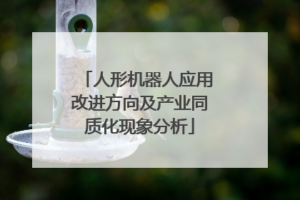 人形机器人应用改进方向及产业同质化现象分析