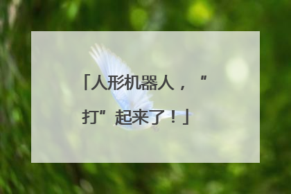 人形机器人，“打”起来了！