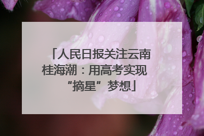 人民日报关注云南桂海潮：用高考实现“摘星”梦想