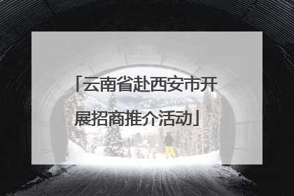 云南省赴西安市开展招商推介活动