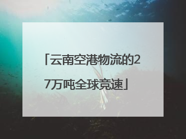 云南空港物流的27万吨全球竞速