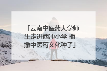 云南中医药大学师生走进西冲小学 播撒中医药文化种子