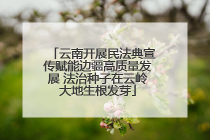 云南开展民法典宣传赋能边疆高质量发展 法治种子在云岭大地生根发芽