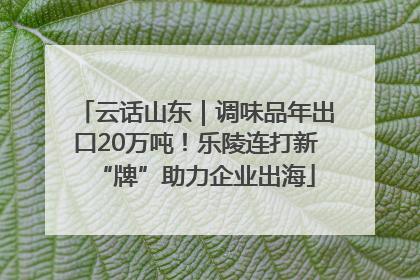 云话山东｜调味品年出口20万吨！乐陵连打新“牌”助力企业出海