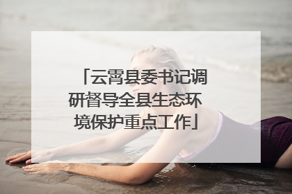 云霄县委书记调研督导全县生态环境保护重点工作