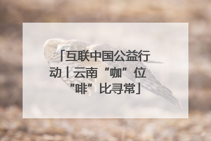 互联中国公益行动丨云南“咖”位“啡”比寻常