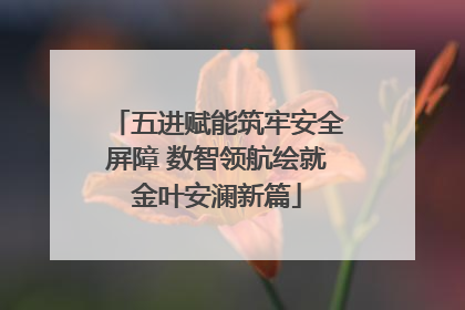 五进赋能筑牢安全屏障 数智领航绘就金叶安澜新篇