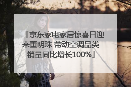 京东家电家居惊喜日迎来董明珠 带动空调品类销量同比增长100%