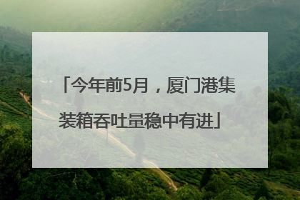 今年前5月，厦门港集装箱吞吐量稳中有进