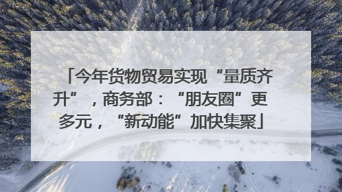 今年货物贸易实现“量质齐升”，商务部：“朋友圈”更多元，“新动能”加快集聚