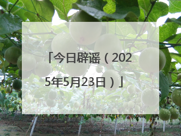 今日辟谣（2025年5月23日）