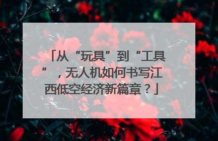 从“玩具”到“工具”，无人机如何书写江西低空经济新篇章？