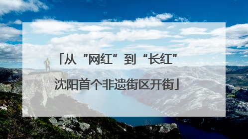 从“网红”到“长红” 沈阳首个非遗街区开街
