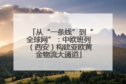 从“一条线”到“全球网”：中欧班列（西安）构建亚欧黄金物流大通道