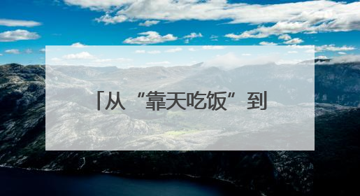 从“靠天吃饭”到“云端种地”！莱芜区“空天地网”织出数字农业新图景