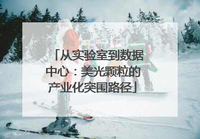 从实验室到数据中心：美光颗粒的产业化突围路径
