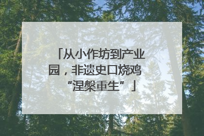 从小作坊到产业园，非遗史口烧鸡“涅槃重生”