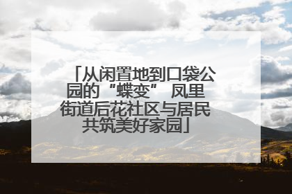 从闲置地到口袋公园的“蝶变” 凤里街道后花社区与居民共筑美好家园